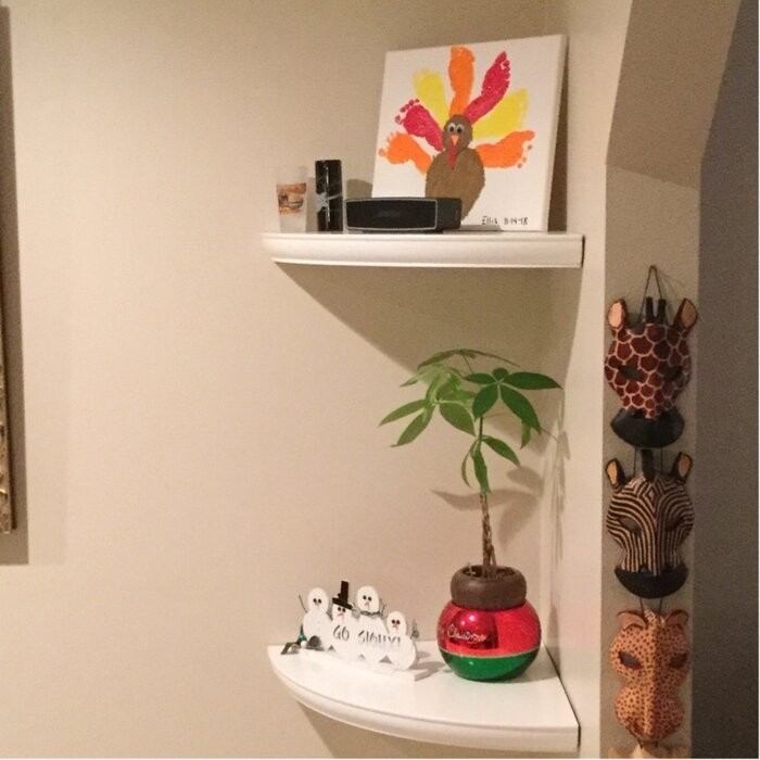 Arshawn Corner Shelf