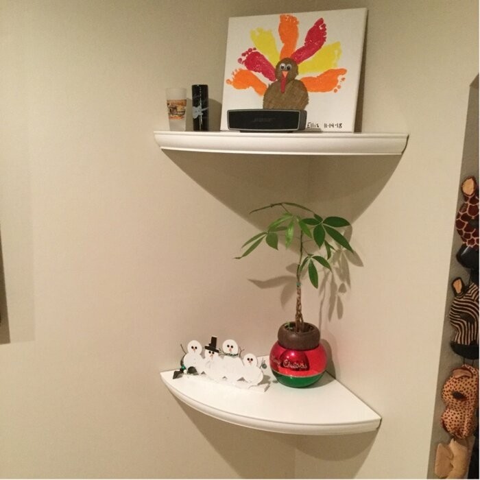 Arshawn Corner Shelf