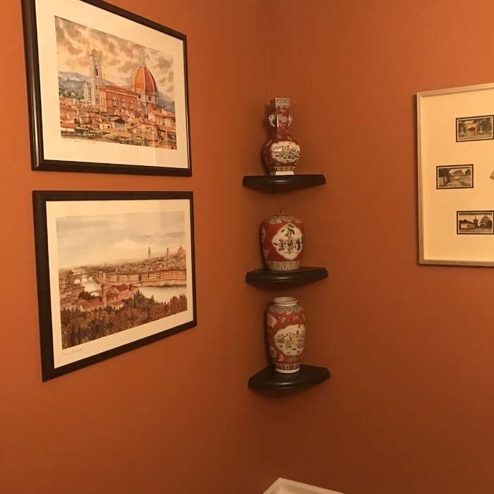 Arshawn Corner Shelf