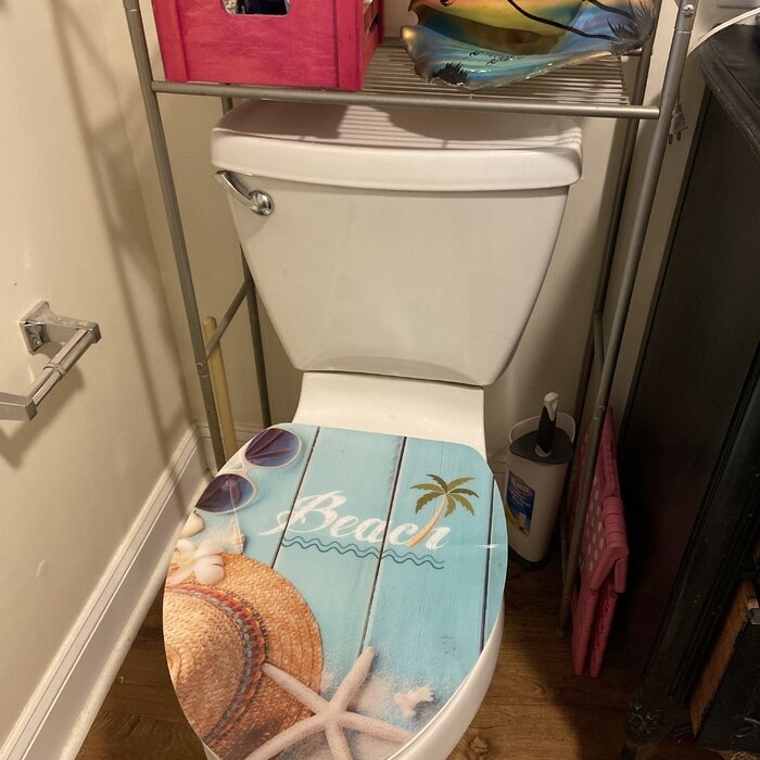 Art of Acryl Beach Slow Close Elongated Toilet Seat