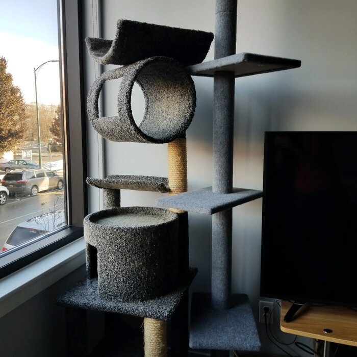 Giant Cat Trees - Ideas on Foter