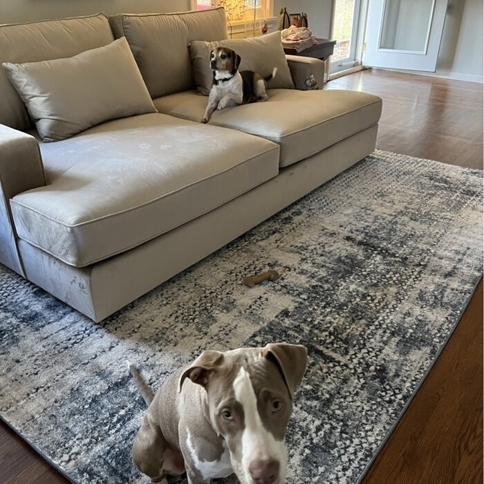 Bailey 94" Square Arm Sofa with Reversible Cushions
