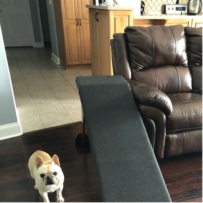 Belinda CozyUp Bed Ramp