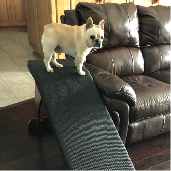 Belinda CozyUp Bed Ramp