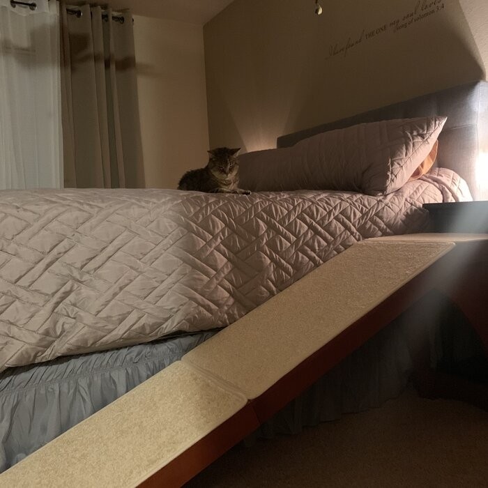 Belinda CozyUp Bed Ramp