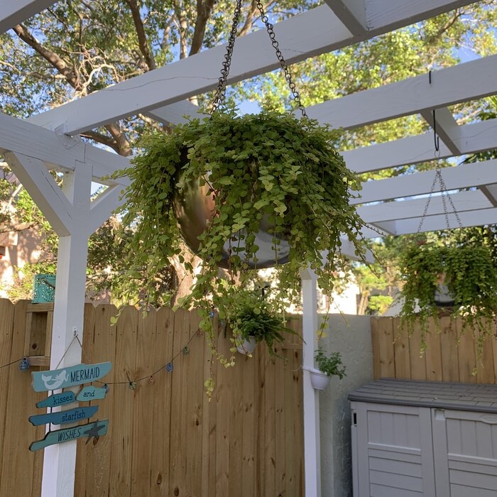 Benally 2 - Piece Iron Hanging Planter Set