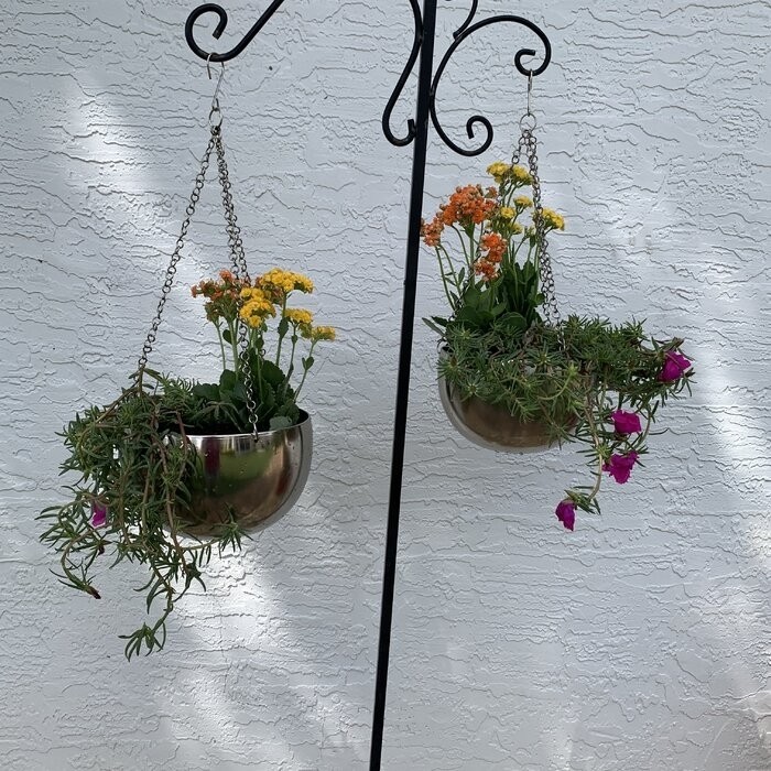 Benally 2 - Piece Iron Hanging Planter Set