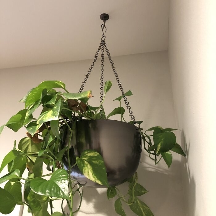 Benally 2 - Piece Iron Hanging Planter Set
