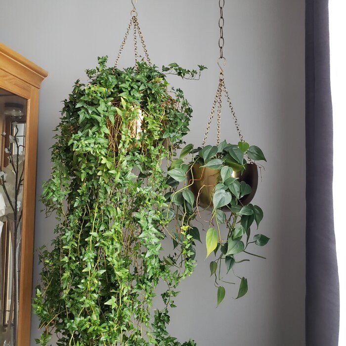 Benally 2 - Piece Iron Hanging Planter Set