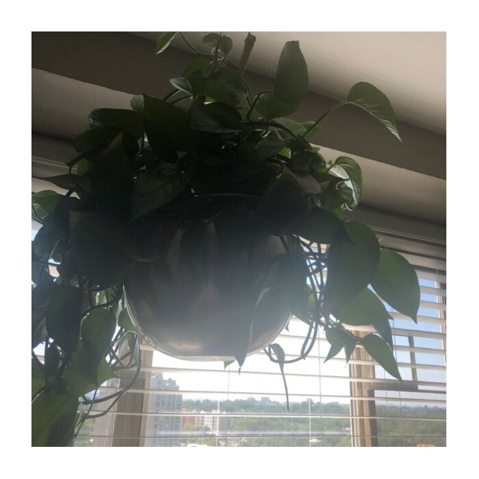 Benally 2 - Piece Iron Hanging Planter Set