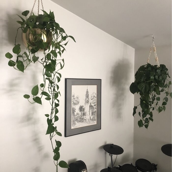 Benally 2 - Piece Iron Hanging Planter Set