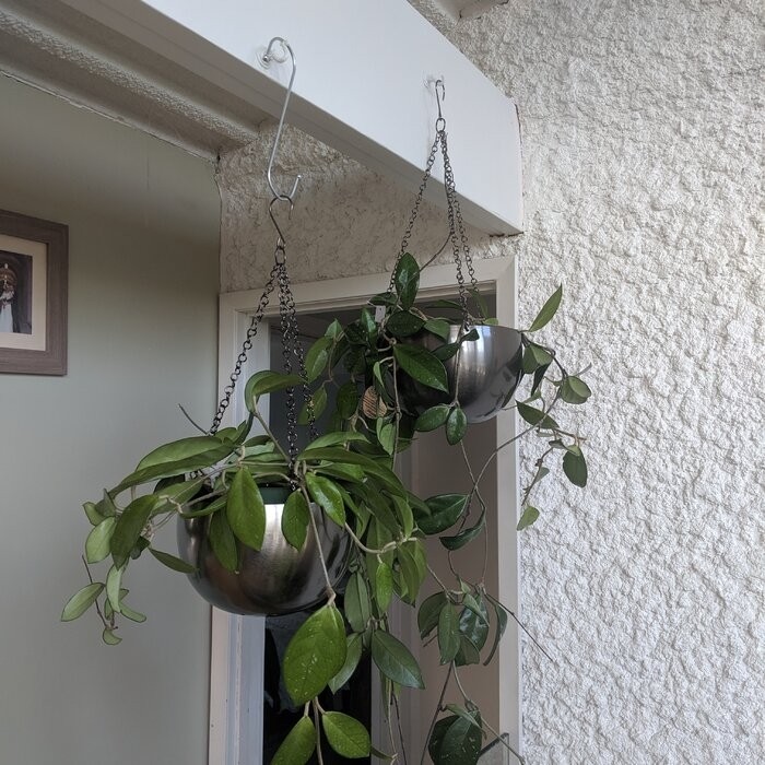 Benally 2 - Piece Iron Hanging Planter Set