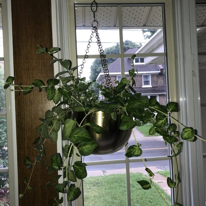Benally 2 - Piece Iron Hanging Planter Set
