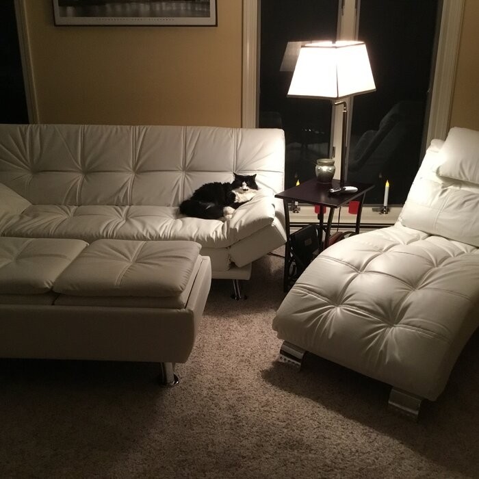 Bente Sleeper Configurable Living Room Set