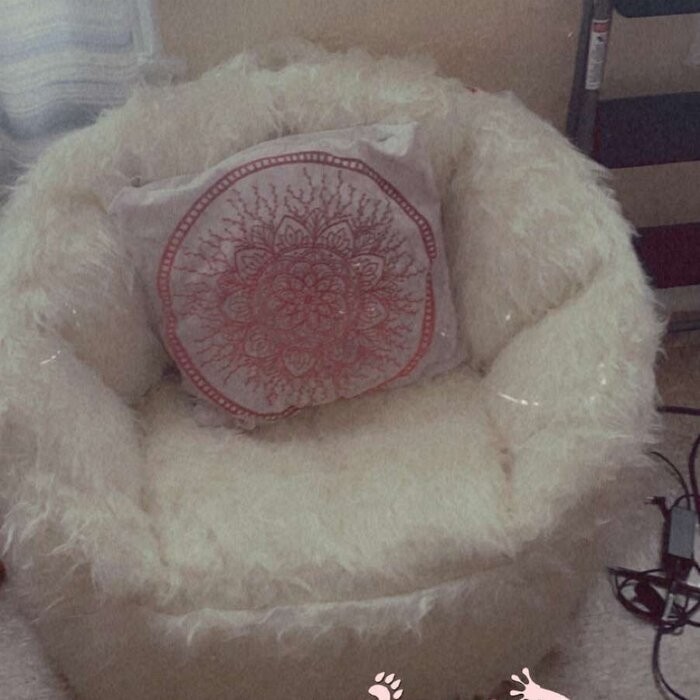 Big Joe Milano Standard Bean Bag Chair & Lounger