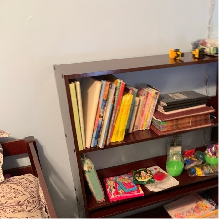 Bintou Twin Platform Loft Bed with Bookcase by Harriet Bee