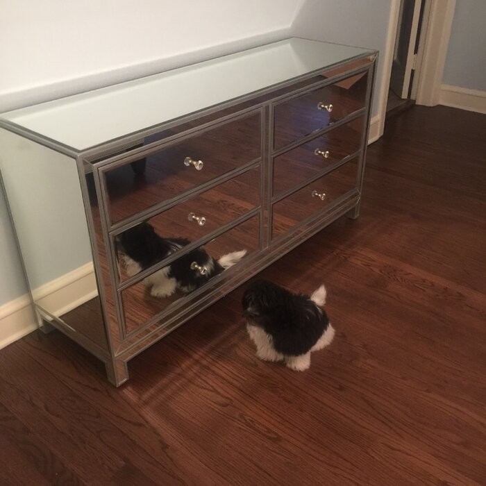 Cain 6 Drawer 60'' W Double Dresser
