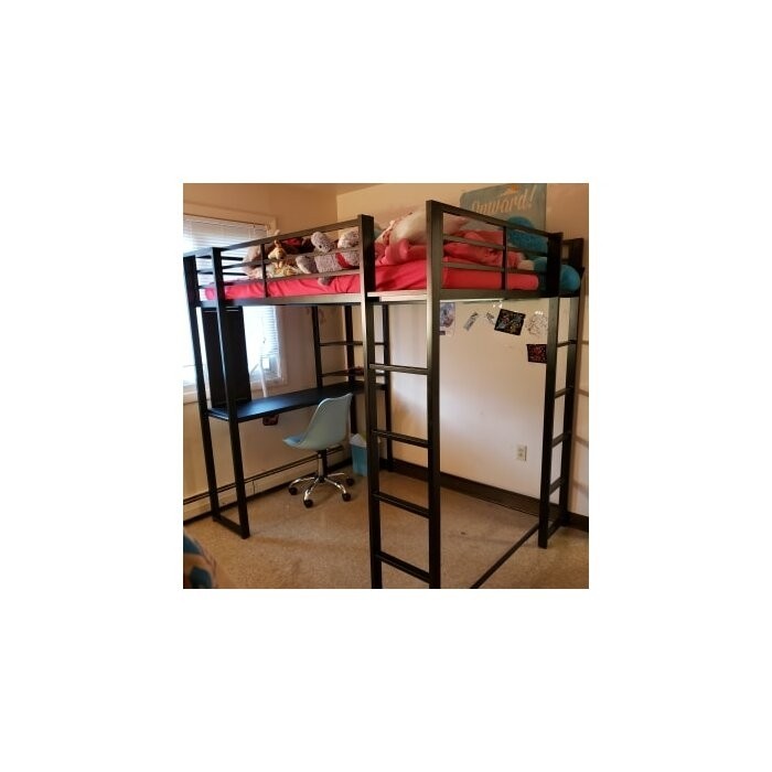 Cato Loft Bed with Bookcase by Mack & Milo™