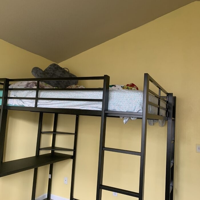 Cato Loft Bed with Bookcase by Mack & Milo™