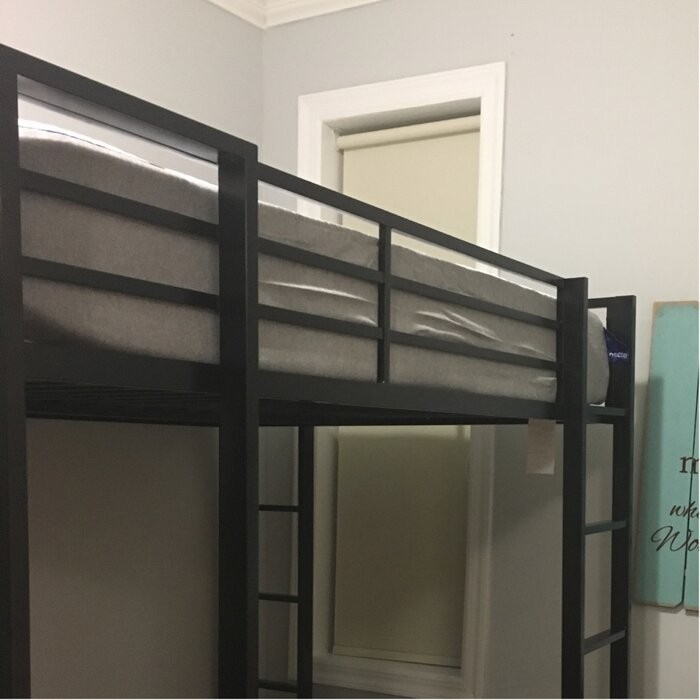 Cato Loft Bed with Bookcase by Mack & Milo™