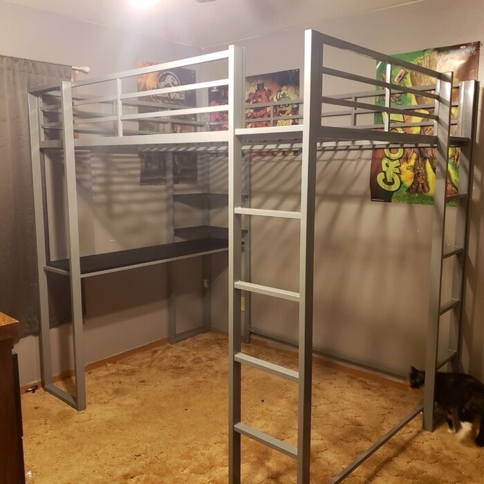 Cato Loft Bed with Bookcase by Mack & Milo™