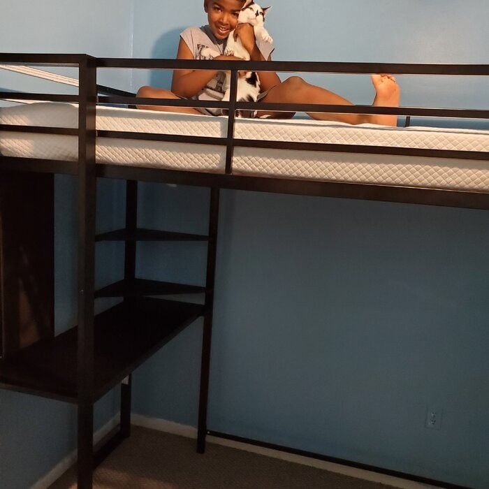 Cato Loft Bed with Bookcase by Mack & Milo™