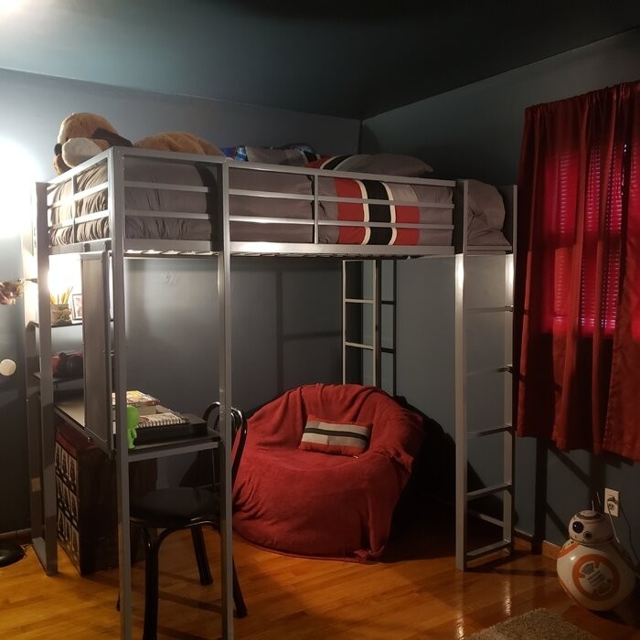 Cato Loft Bed with Bookcase by Mack & Milo™