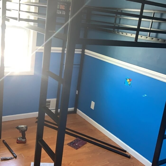 Cato Loft Bed with Bookcase by Mack & Milo™