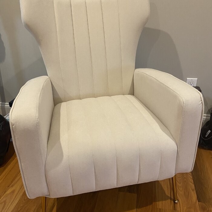 Cayleigh 27.5'' Wide Velvet Wingback Chair