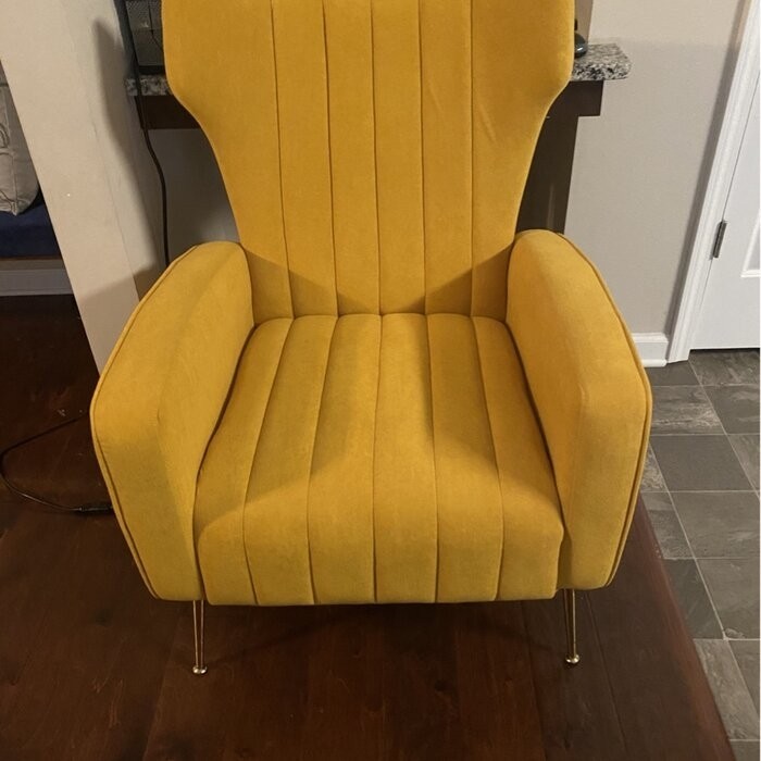 Cayleigh 27.5'' Wide Velvet Wingback Chair