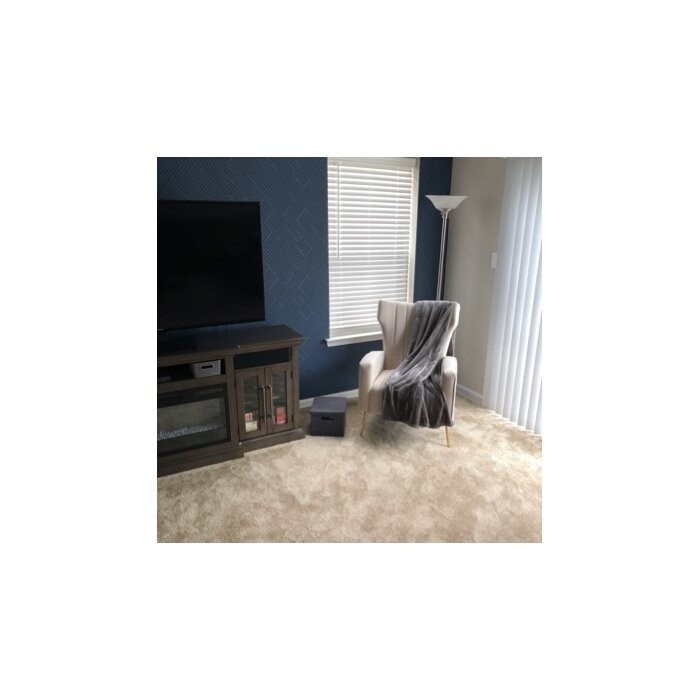 Cayleigh 27.5'' Wide Velvet Wingback Chair