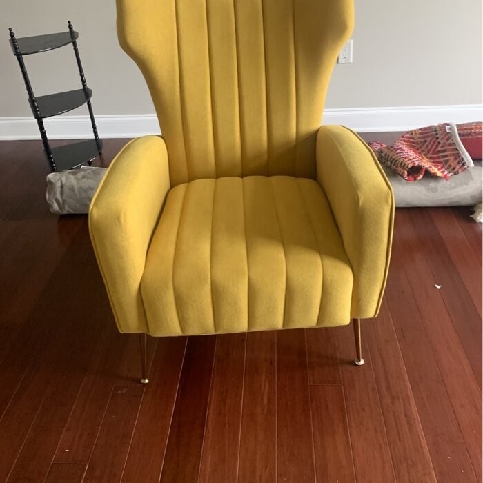 Cayleigh 27.5'' Wide Velvet Wingback Chair