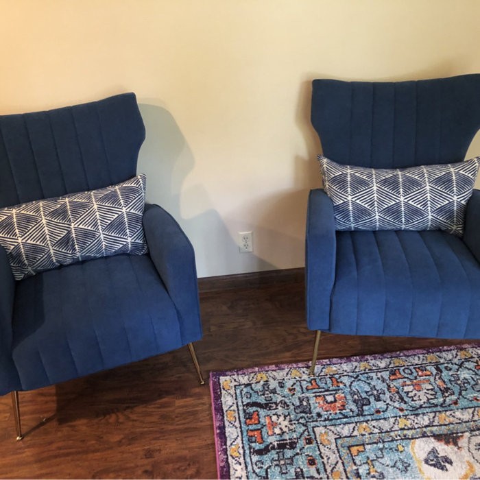 Cayleigh 27.5'' Wide Velvet Wingback Chair
