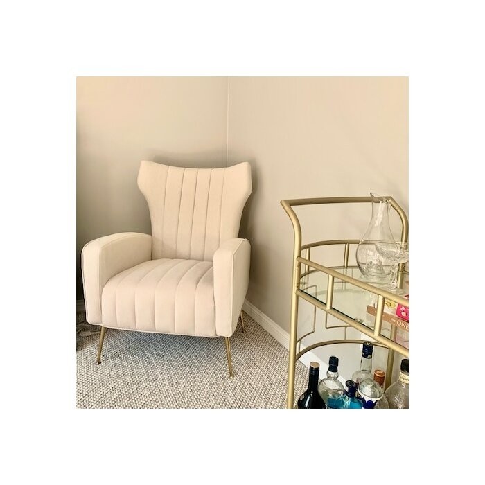 Cayleigh 27.5'' Wide Velvet Wingback Chair