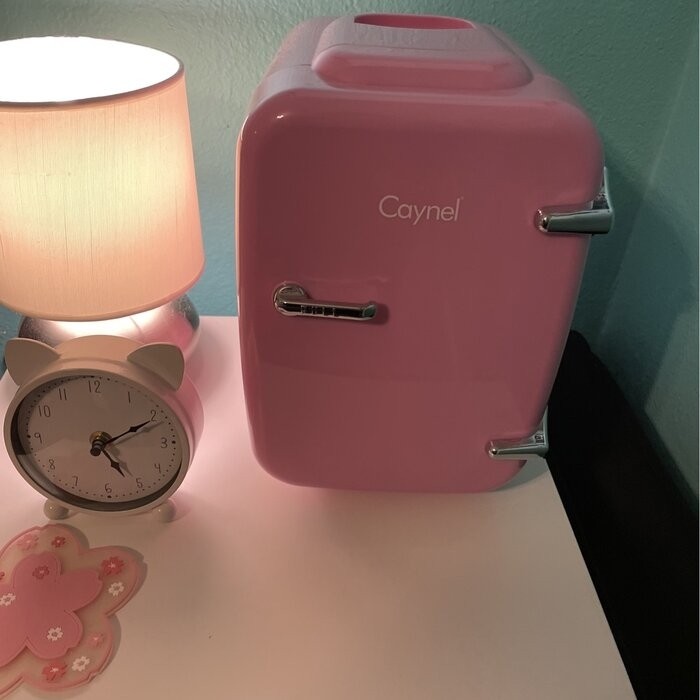 CAYNEL Outdoor Retro 0.14 Cubic Feet cu. ft. Countertop Mini Fridge