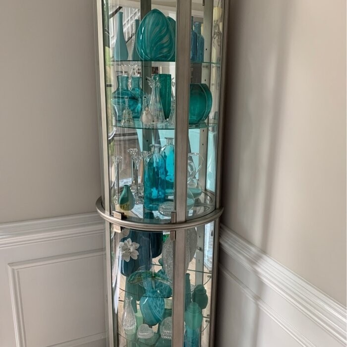 Chaquita 22'' Wide Mirrored Back Curio Cabinet with Lighting
