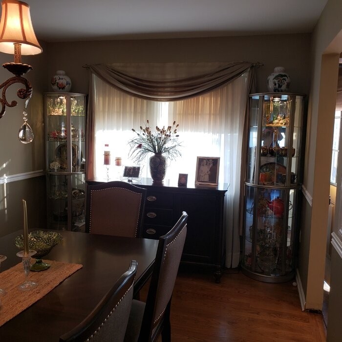 Chaquita 22'' Wide Mirrored Back Curio Cabinet with Lighting
