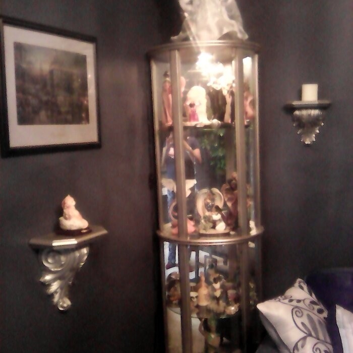 Chaquita 22'' Wide Mirrored Back Curio Cabinet with Lighting