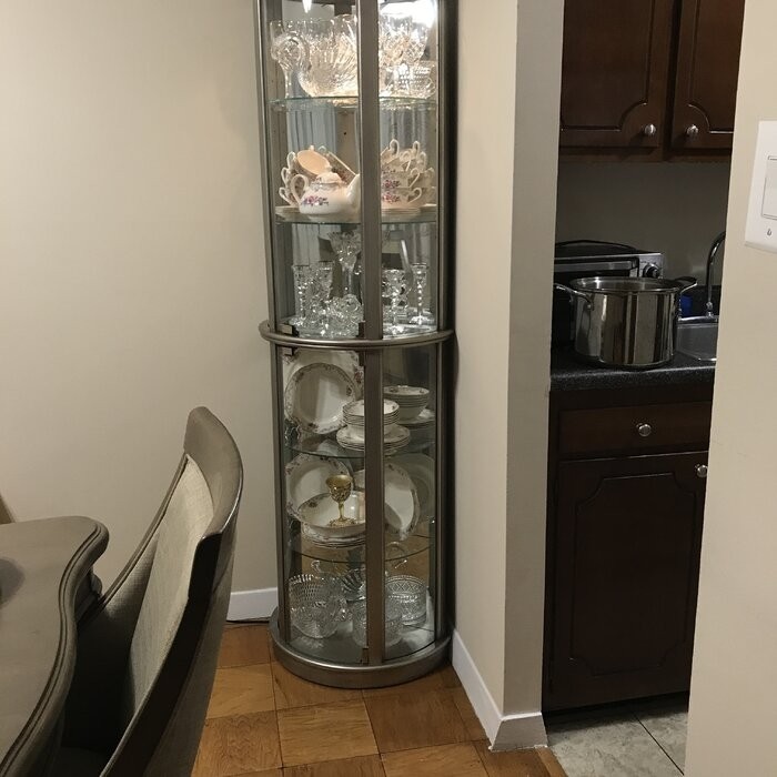 Chaquita 22'' Wide Mirrored Back Curio Cabinet with Lighting