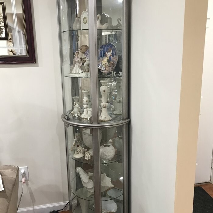 Chaquita 22'' Wide Mirrored Back Curio Cabinet with Lighting