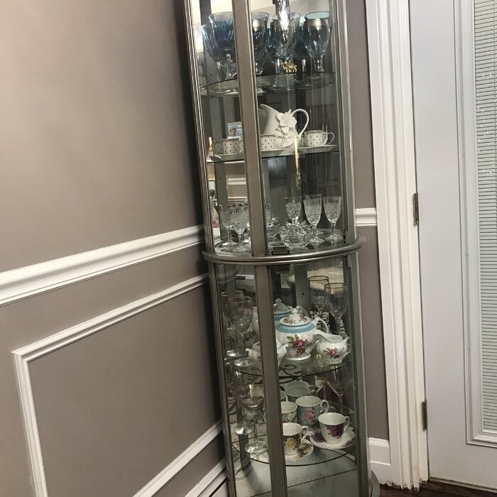 Chaquita 22'' Wide Mirrored Back Curio Cabinet with Lighting