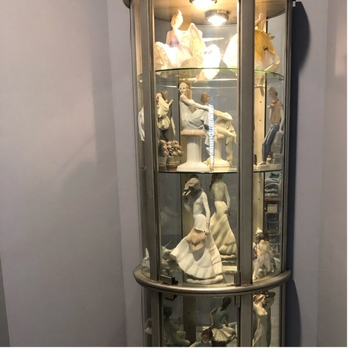 Chaquita 22'' Wide Mirrored Back Curio Cabinet with Lighting