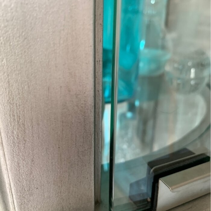 Chaquita 22'' Wide Mirrored Back Curio Cabinet with Lighting
