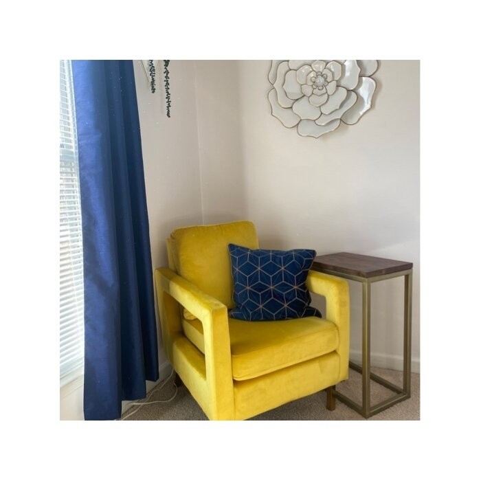 Clayne 26'' Wide Velvet Armchair
