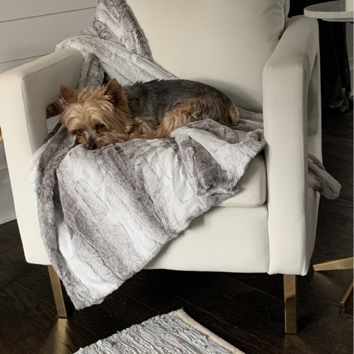 Clayne 26'' Wide Velvet Armchair