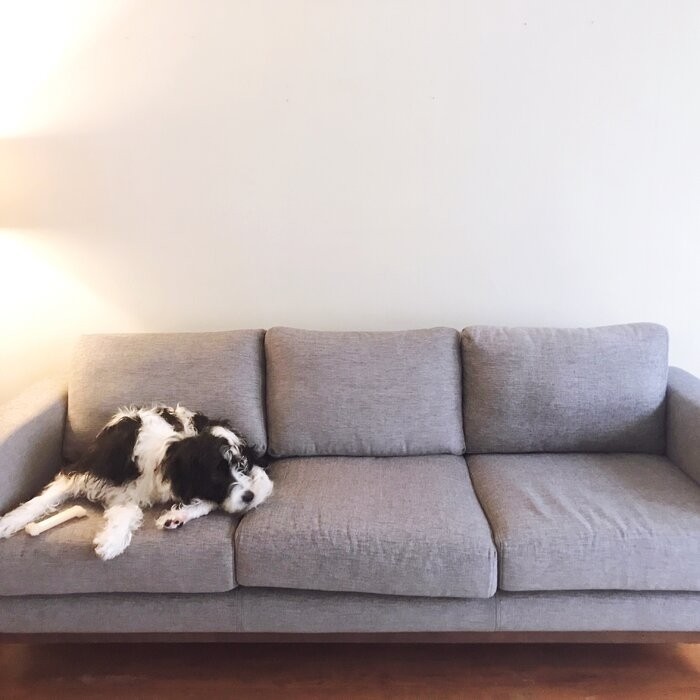 Clayton 83.47'' Square Arm Sofa