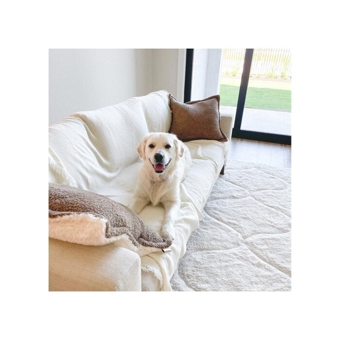 Clayton 83.47'' Square Arm Sofa