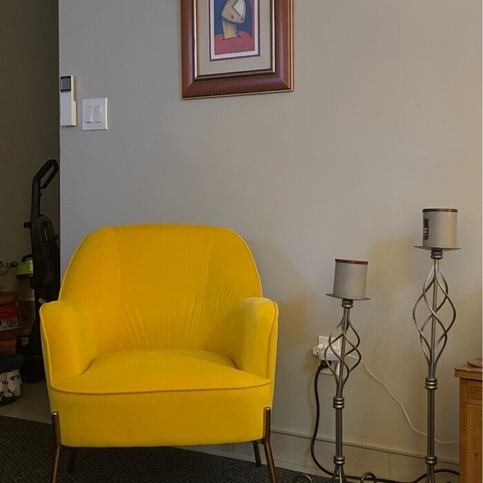 Cleo 26'' Wide Velvet Armchair