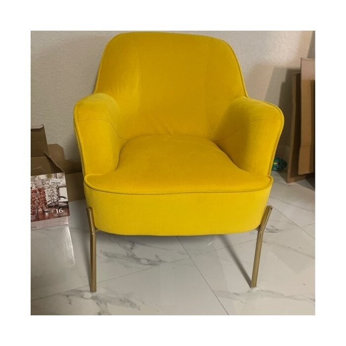 Cleo 26'' Wide Velvet Armchair