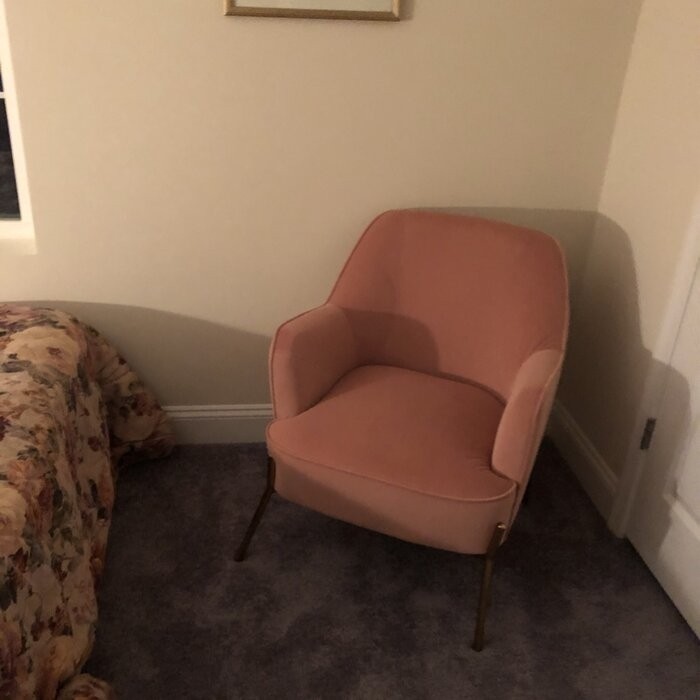 Cleo 26'' Wide Velvet Armchair